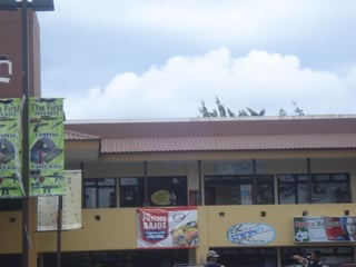 Se alquila local Comercial en Carretera a El Salvador - 2