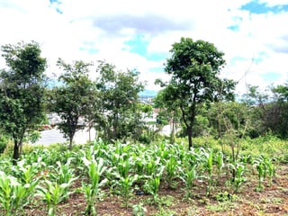 Terreno en Venta cerca de Calzada La Paz, en Zona 17 - 2