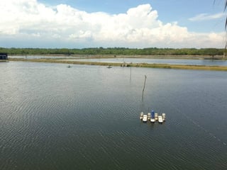 Camaronera en venta en Puerto Iztapa, Escuintla  - 5