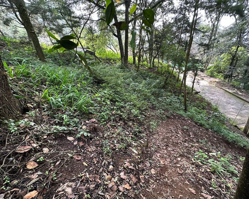 Terreno en Venta en Santa Lucia Milpas Altas