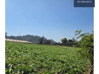 Large Land for Sale in Parcelamiento Santa Rosa, Milpas Altas, Guatemala - 13,800 m² - Agricultural & Commercial Development - $510,000 - Image 2