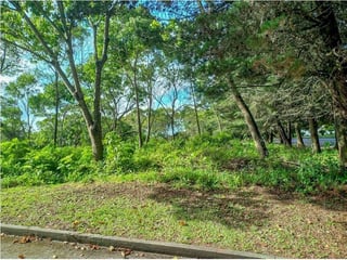 TERRENOS A LA VENTA EN CASA Y CAMPO/ CES - 2