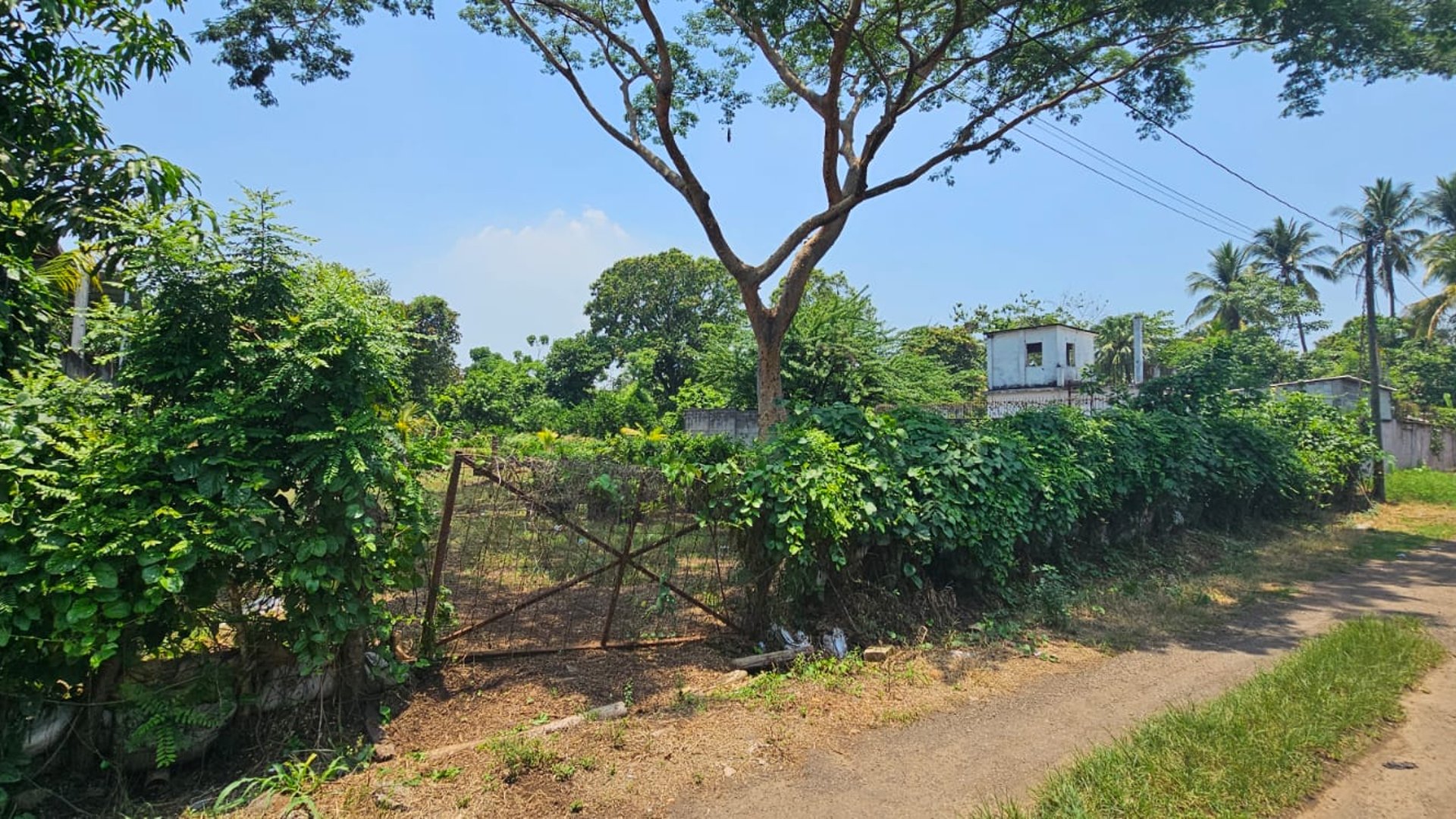 ???? TERRENO EN VENTA – 1,500 M² | QUINTAS VALLARTA | ESCUINTLA - Miniatura 6