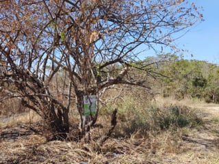 Terreno de 14 x 50 metros en Venta Quintas Malibu - 4