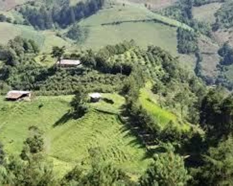 Terreno en Venta en San José Pinula hacia Palencia – Ideal para Industria