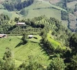 Terreno en Venta en San José Pinula hacia Palencia – Ideal para Industria