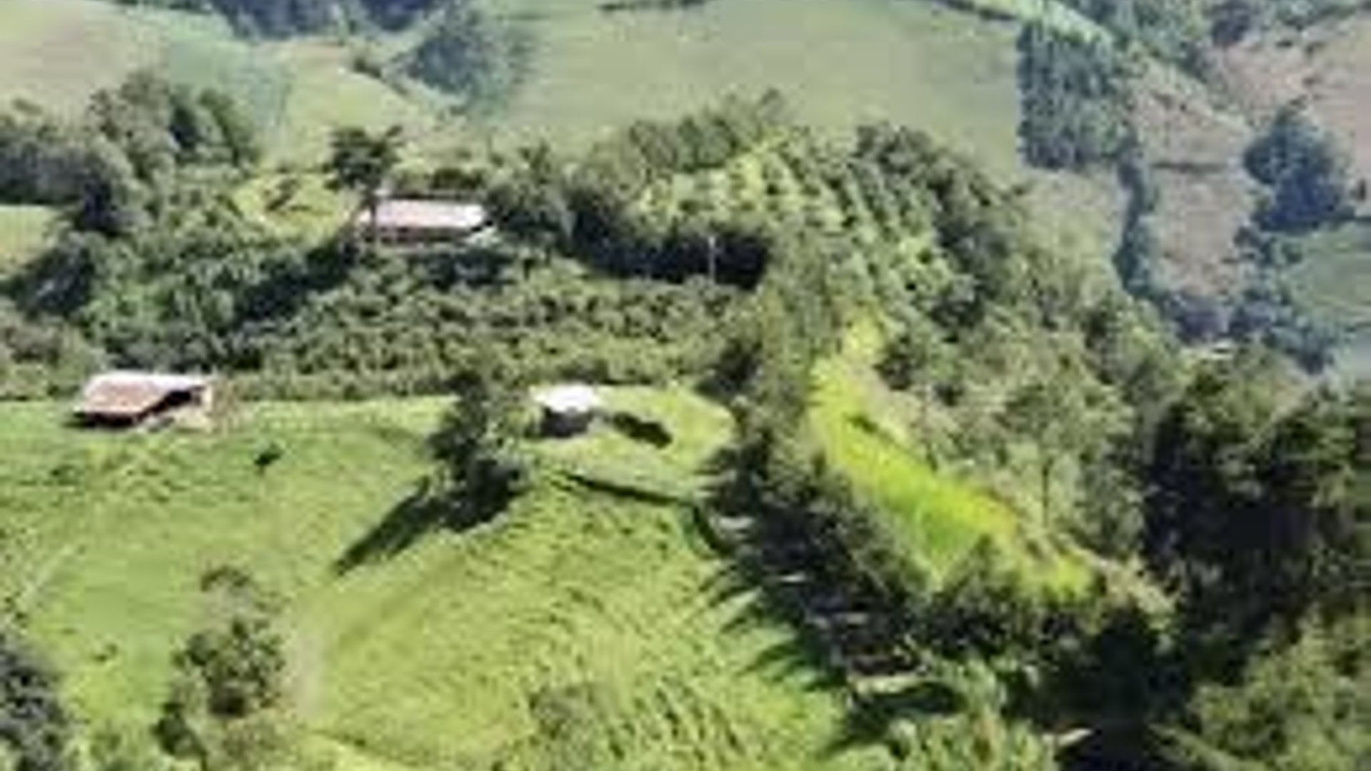 Terreno en Venta en San José Pinula hacia Palencia – Ideal para Industria