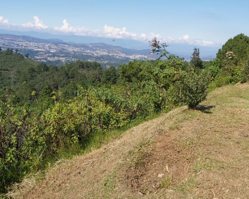 Vendo terreno en Pulté 1155.58m2