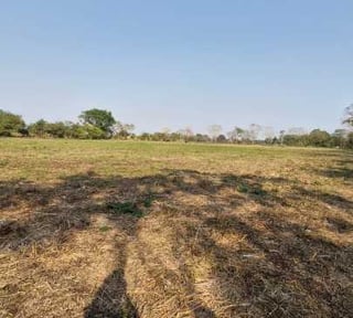 Terreno en Venta en  Carretera Antigua Puerto  San José