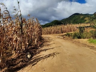Terreno en Venta San Andres Semetabaj Solola - 2