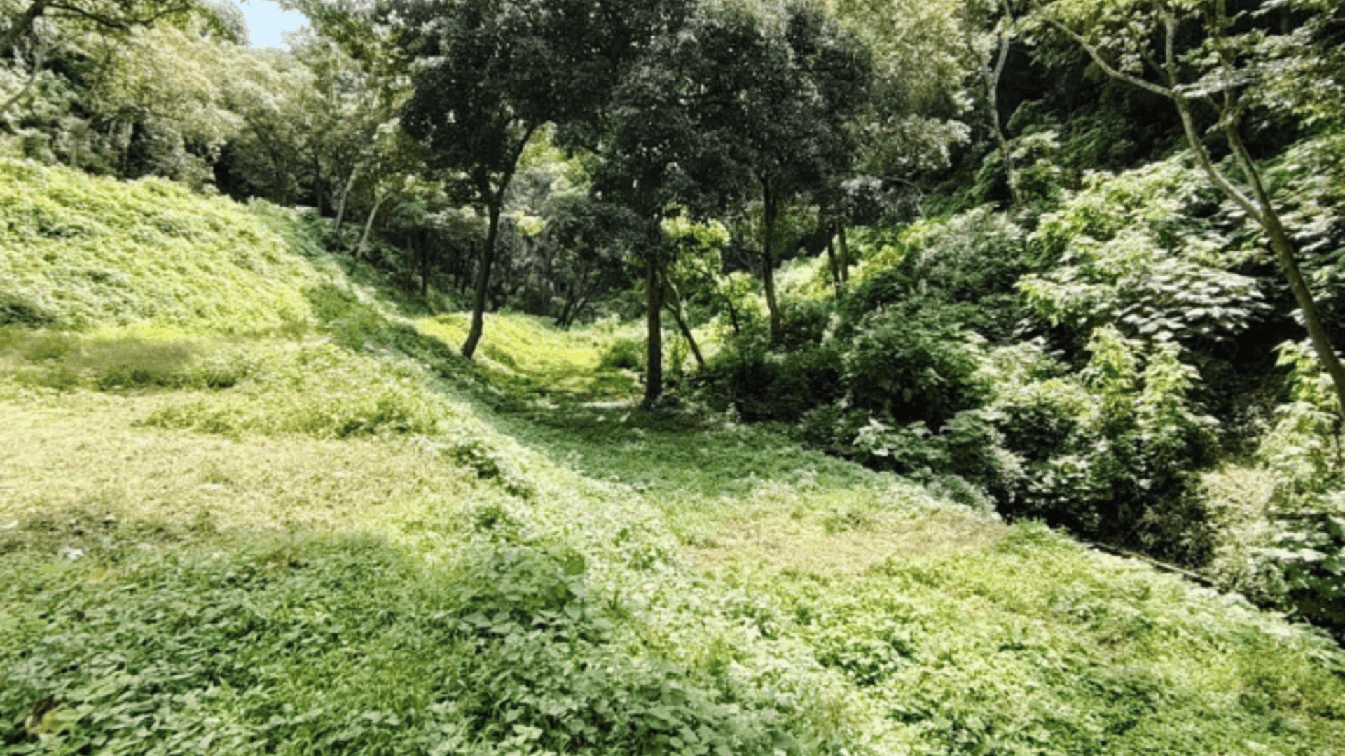 Amplio terreno en venta  Santa Ana, Antigua Guatemala - Miniatura 3