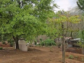 Vendo Propiedad para contruir 1 o varias Casas de Campo en Granja - Image 6