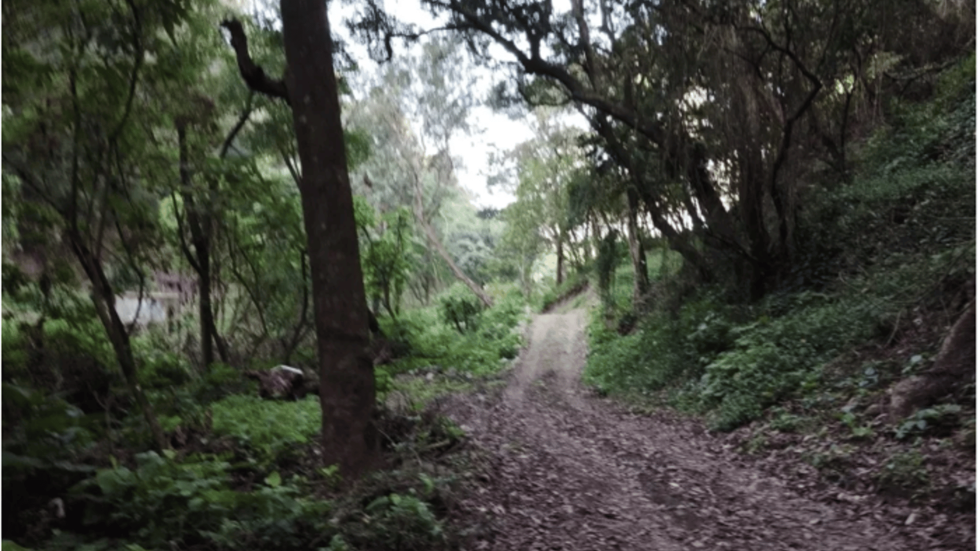 Finca en Venta cercana La Antigua Guatemala - Miniatura 4