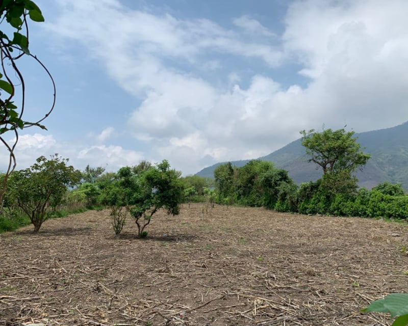 Terreno en Venta en Amatitlán