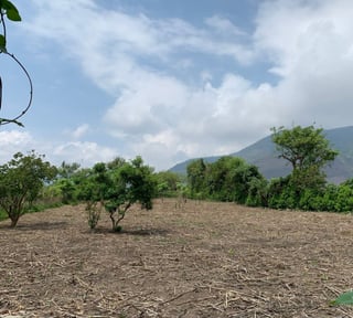 Terreno en Venta en Amatitlán