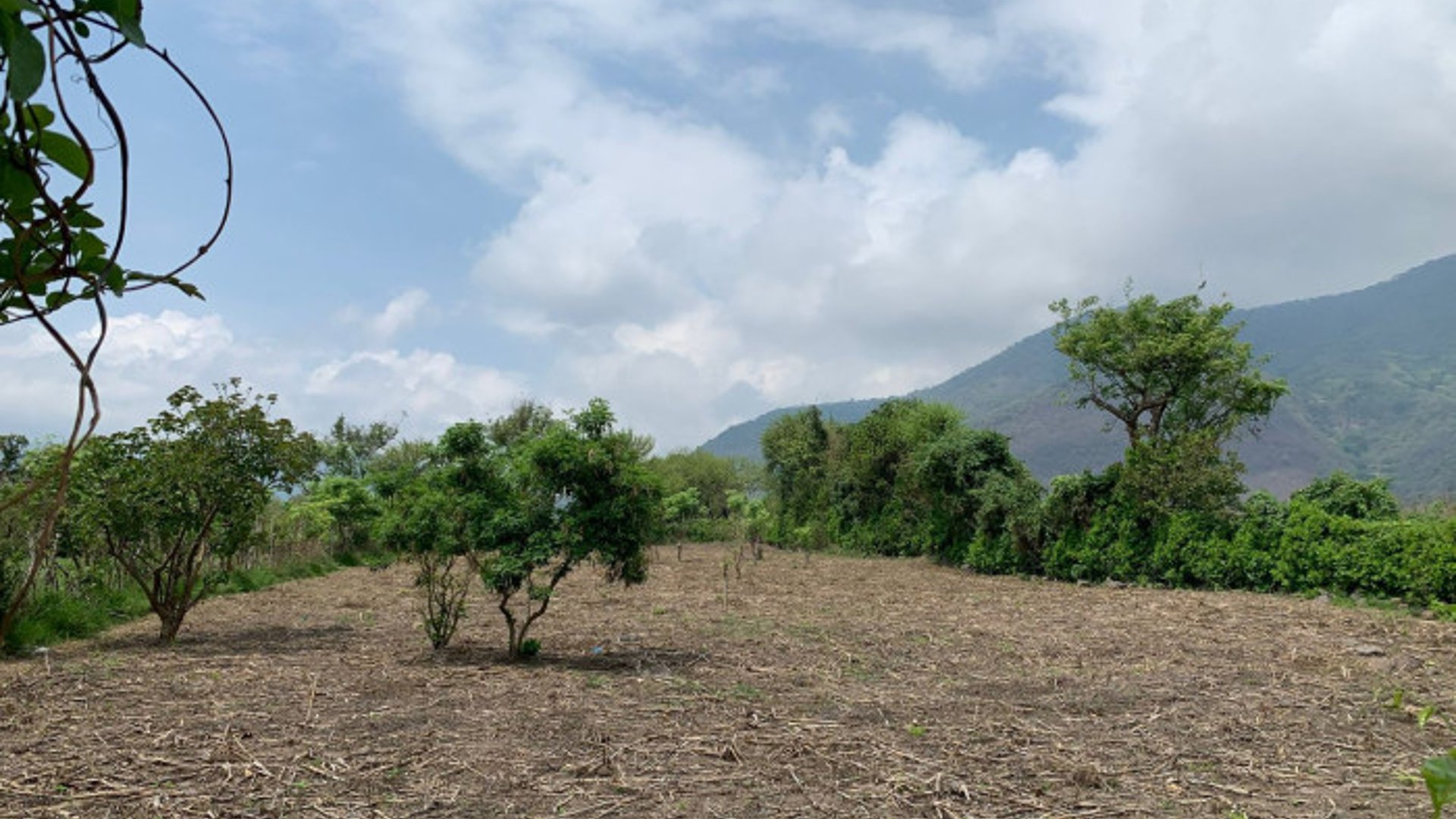 Terreno en Venta en Amatitlán