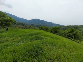 Finca en VENTA de 2 caballerías en Chicacao, Suchitepéquez - 4