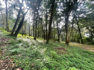 Terreno en venta, en San Lucas Sacatepéquez - 5