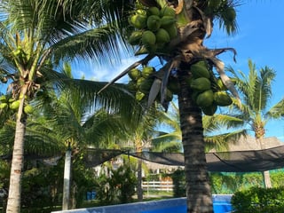 Casa En Venta en Monterrico - Image 14