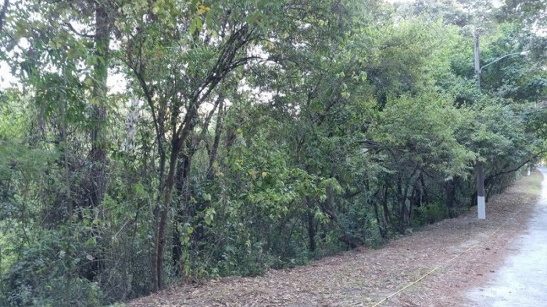 Terreno en Venta en El Encinal, Zona 7 de Mixco - Miniatura 9