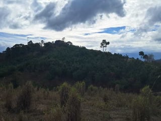Finca en VENTA en San Pedro Ayampuc - Image 1