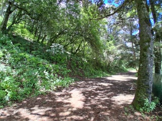 Terreno en venta en Troncos del Encinal z7 de Mixco Ref-4887 - Image 1