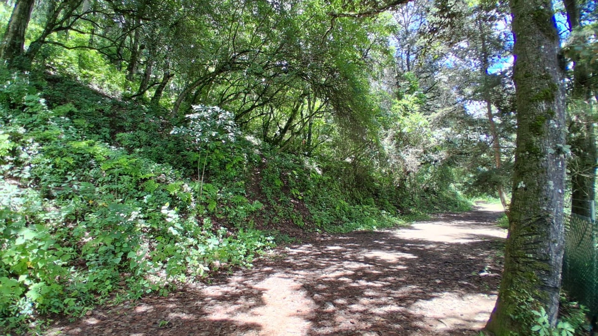 Terreno en venta en Troncos del Encinal z7 de Mixco Ref-4887