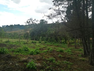 TERRENO RESIDENCIAL EN VENTA EN VILLA CANALES - 5