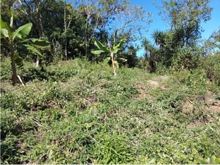 Terreno en venta en Saquija Cahabon, Alta Verapaz  - 4