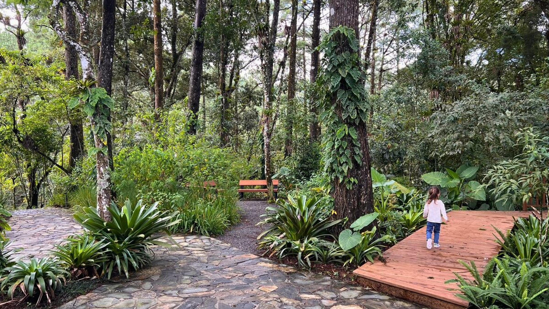 AZARA/ Legado Del Bosque/Terreno en Venta, Zona 16