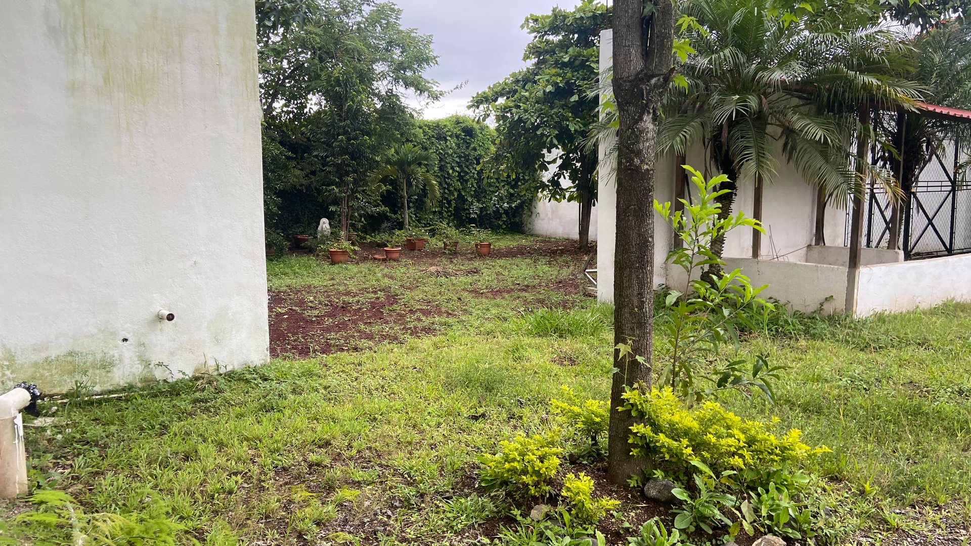 TERRENO CON LOCAL COMERCIAL EN VENTA EN EL CERINAL, BARBERENA - Miniatura 5