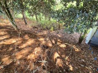 Lote en Venta Carretera a El Salvador Res. San Antonio - 5