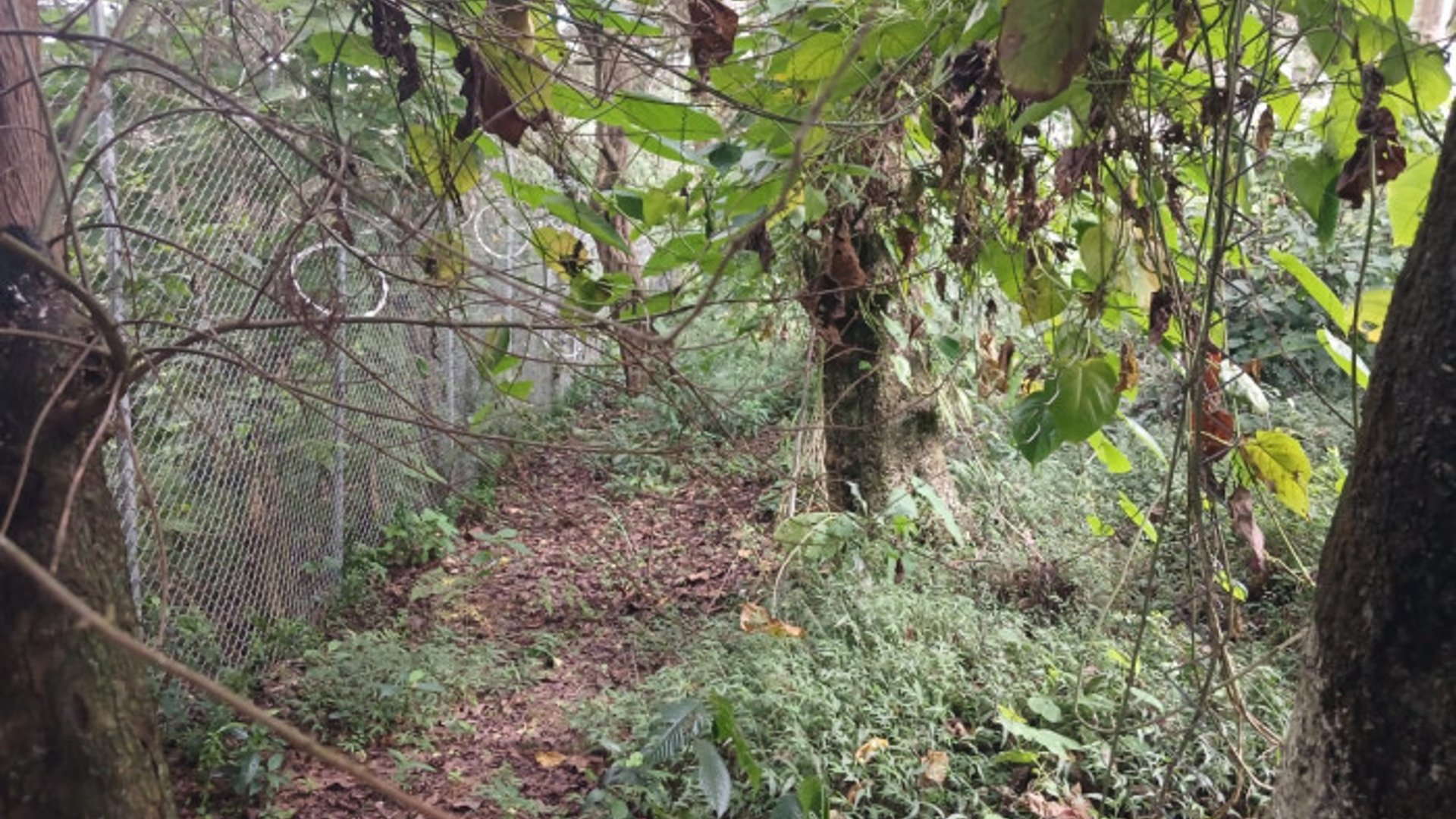 TERRENO EN VENTA EN SAN LUCAS SACATEPEQUEZ - Miniatura 23