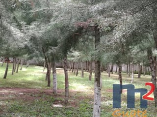 Terreno en Venta, Fraijanes (V4483) - 2