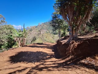 Terreno en Venta Santa Rosa de Lima - Image 5