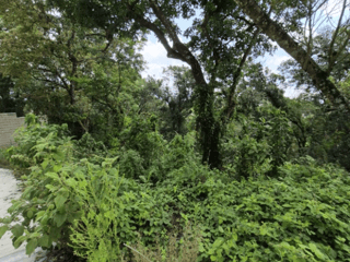 Terreno en venta Santa Rosalia km 12 C. al Salvador - 5