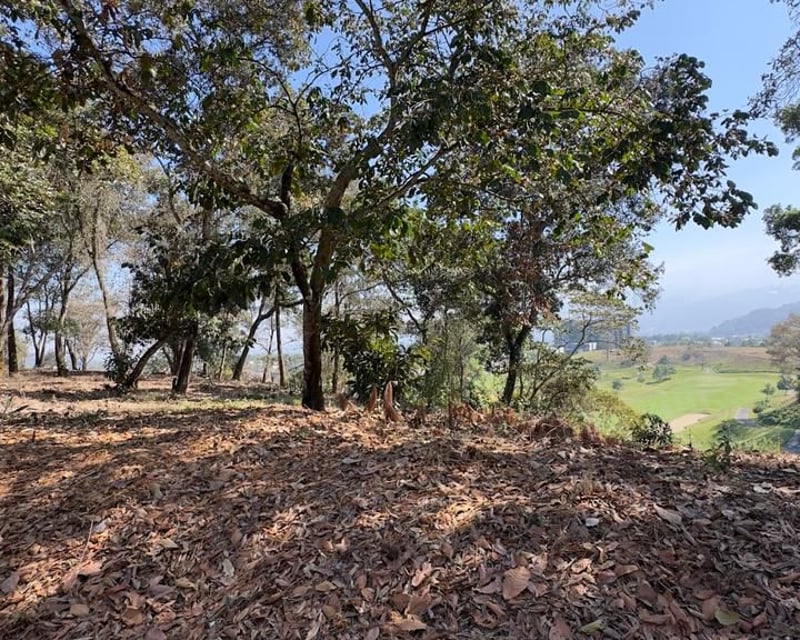 Terreno en el Pulte Golf, zona 16