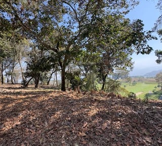 Terreno en el Pulte Golf, zona 16