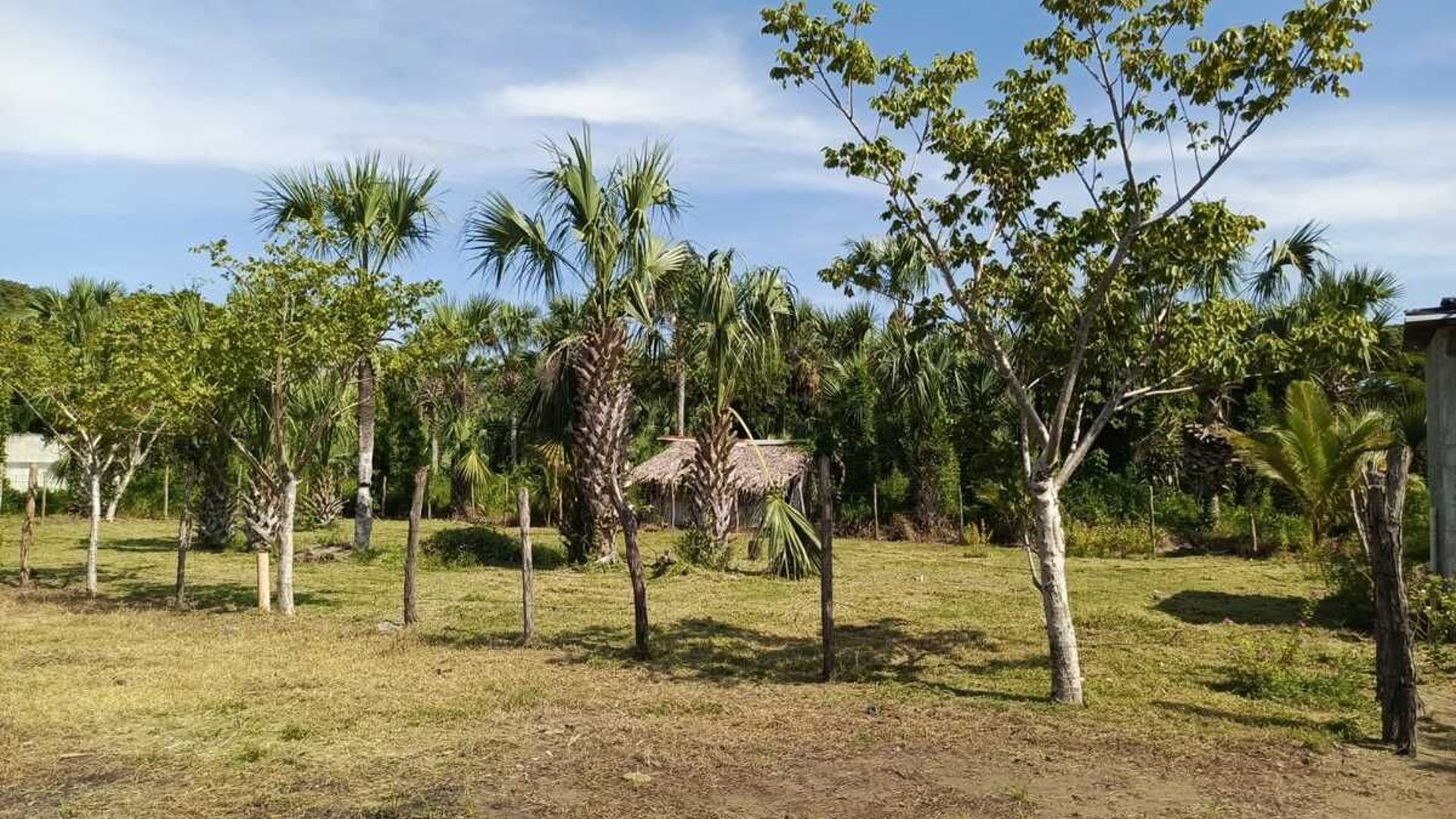 GANGA TERRENO EN VENTA – ALDEA EL CEBOLLITO, HAWÁI CHIQUIMULA - Miniatura 8