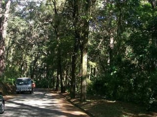 Venta de terreno en residencial cerca a San Lucas Sac. - 4