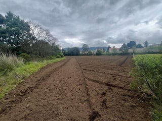 Terreno en Quetzaltenango - 3