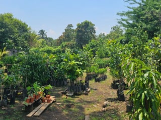 📍 TERRENO EN VENTA – 1,500 M² | QUINTAS VALLARTA | ESCUINTLA - 2