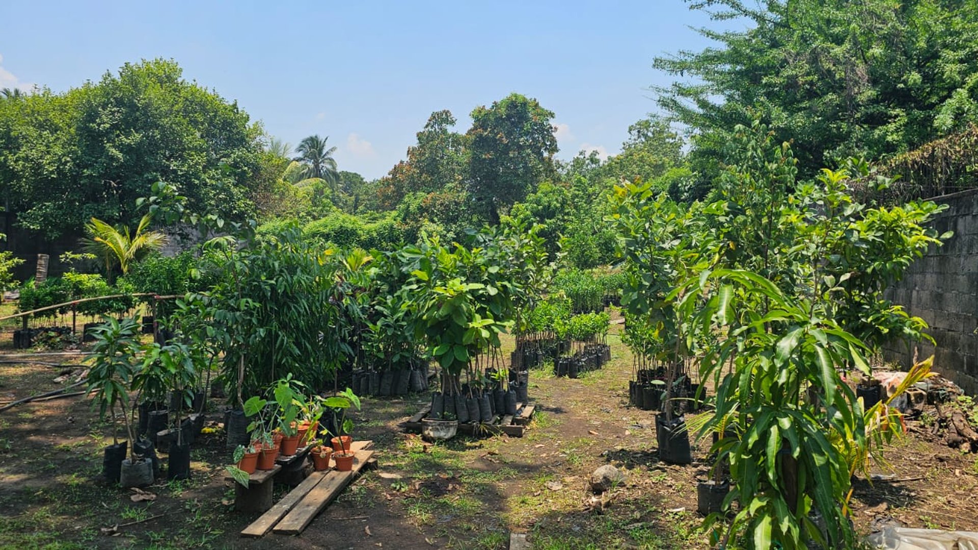 ???? TERRENO EN VENTA – 1,500 M² | QUINTAS VALLARTA | ESCUINTLA - Miniatura 2