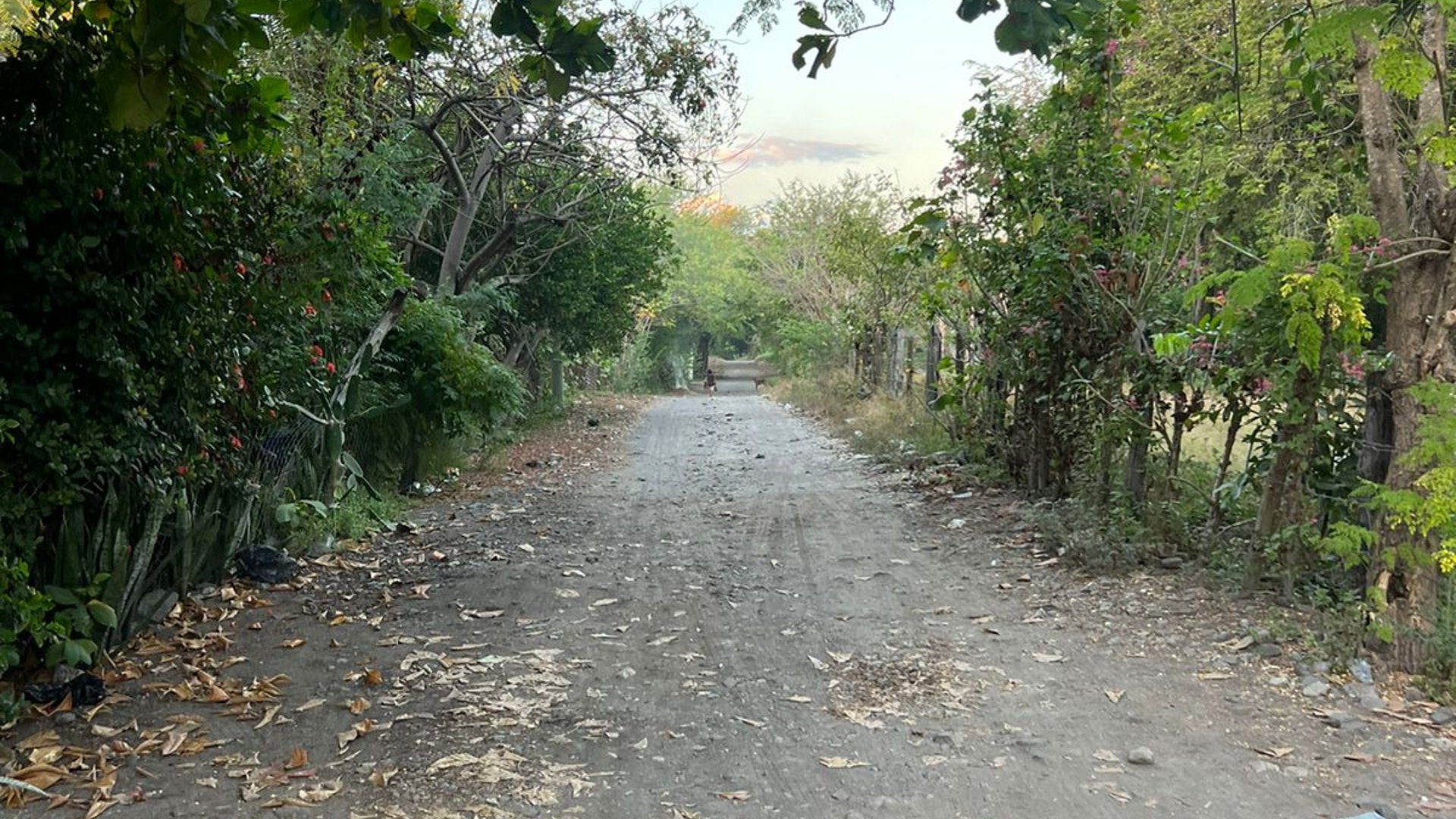 VENTA DE AMPLIO TERRENO A POCOS METROS DE LA PLAYA - MONTERRICO - Miniatura 10