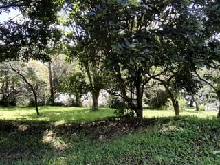 Vendo Terreno En San Germán Del Bosque Fraijanes KM 20.5 - 5