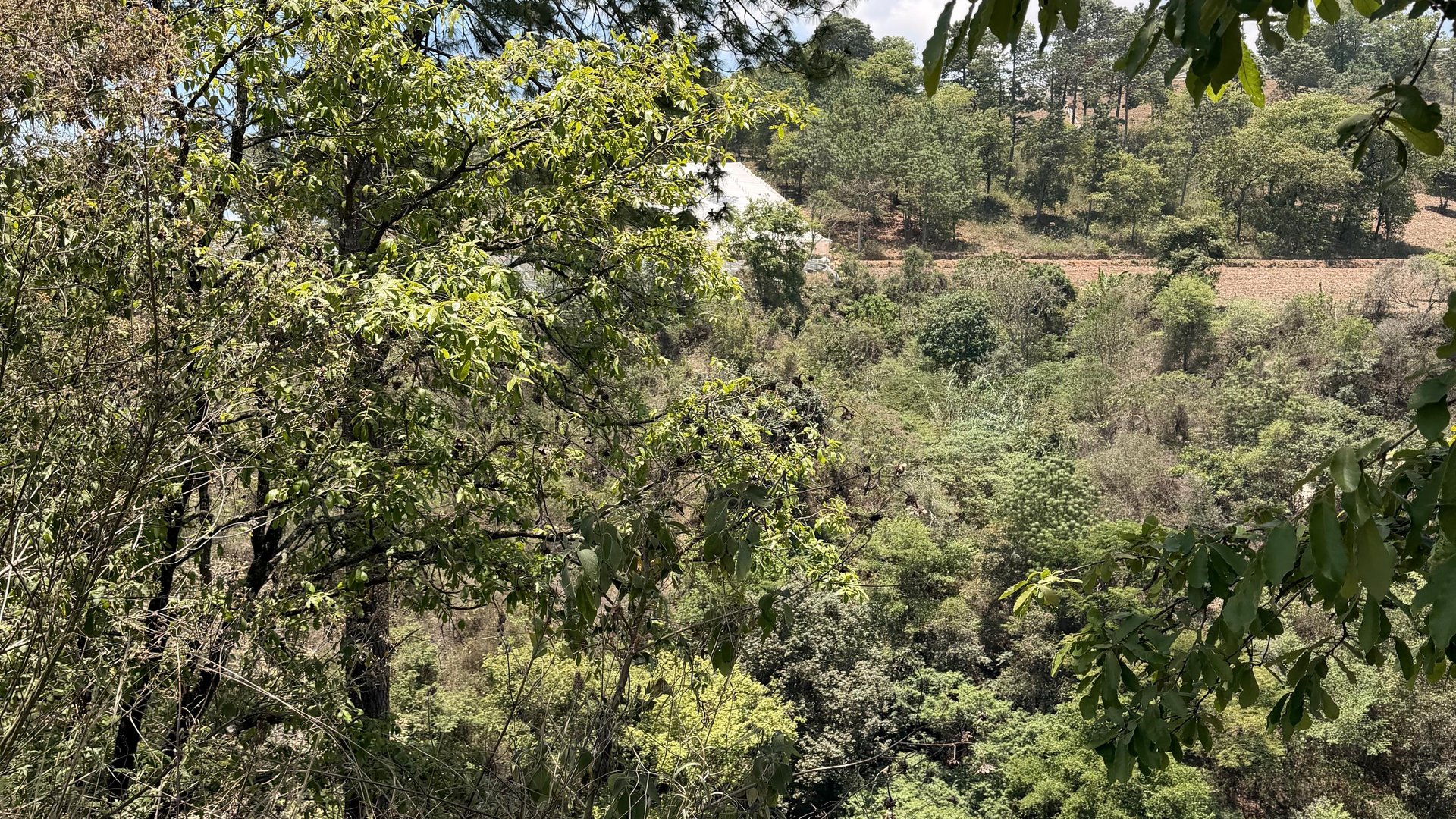 Terreno en Venta Sumpango, Sacatepéquez: 3.7 Hectáreas para su Proyecto - Miniatura 11