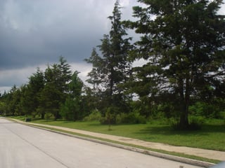 Terreno en Carretera El Salvador en Venta Casa   Campo - 3