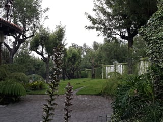 LOTE EN VENTA, CONDOMINIO EN SAN JUAN DEL OBISPO - 5