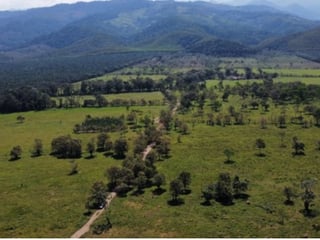 Livestock Farm for Sale in Panzós, Alta Verapaz - 4