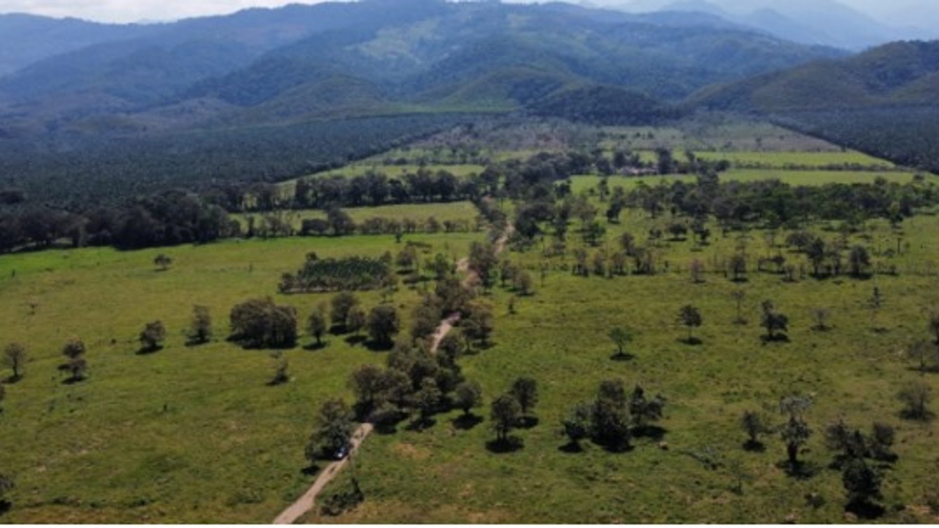Livestock Farm for Sale in Panzós, Alta Verapaz - Miniatura 4